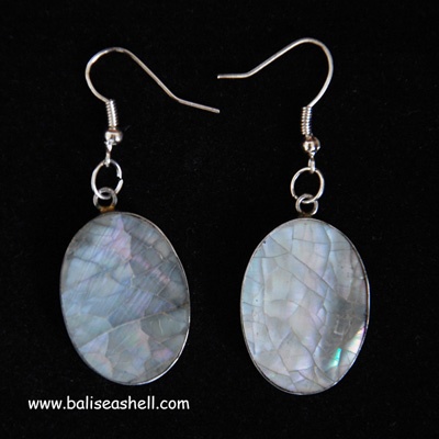 paua shell earring