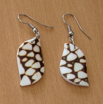 conus shell earring