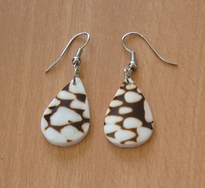 conus shell earring