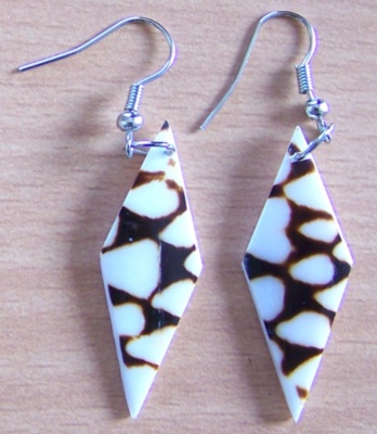 earring zebra