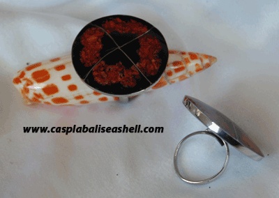 seashell ring receine with stainless