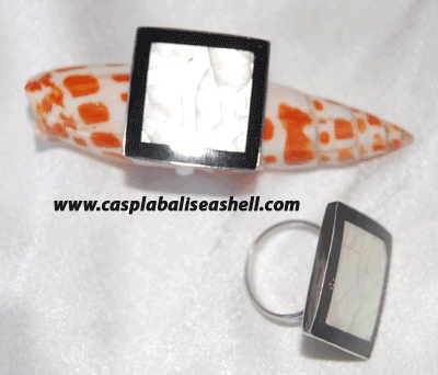 shell and seashell ring art