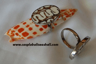 shell ring art cuting natural