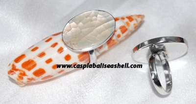 Ring seashell indonesia