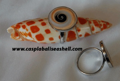 shell ring indonesia