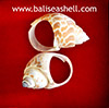 Ring Natural Seashell Jewelry from Indonesia