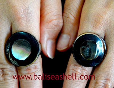 Ring shell Mix