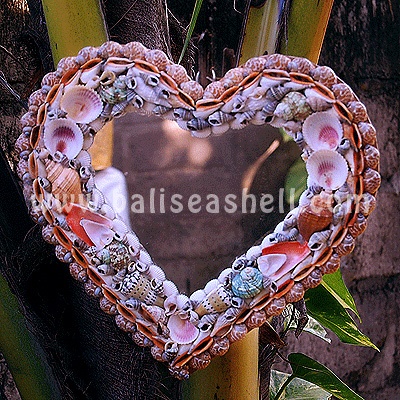 shell frame mirror