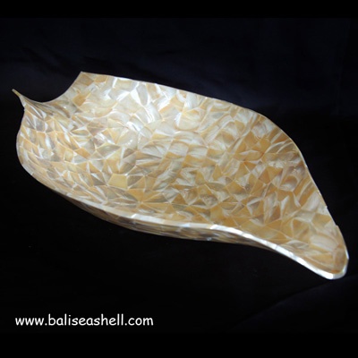mother of pearl shell art crafts
