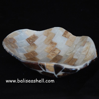 sea shell carfts made from bali mix color