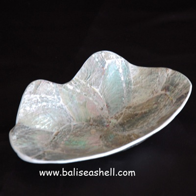 bowl with abalone shell