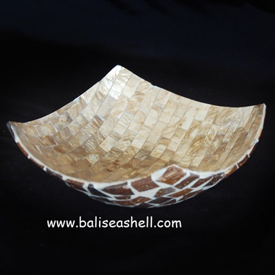 bowl with shell and coconut
