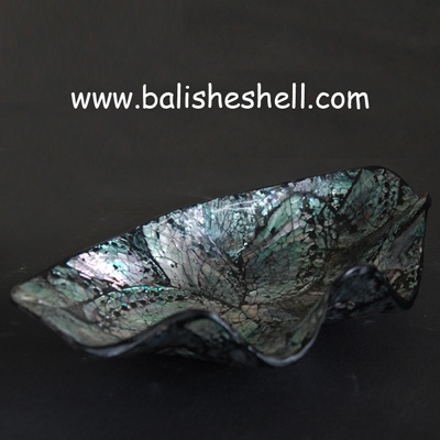 abalone shell bowl with shell shape