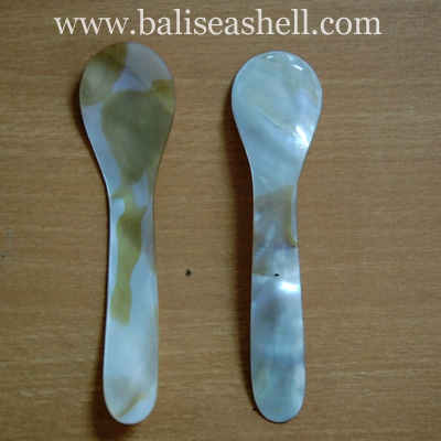brown shell river spoon art natural