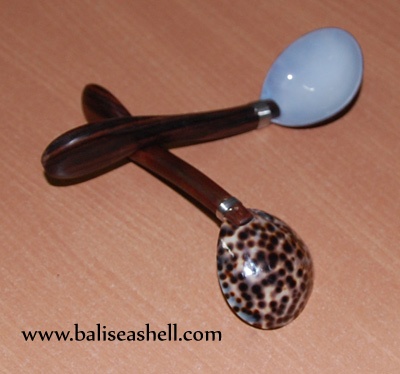 tiger shell cowrie spoon from art