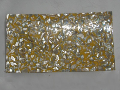 astry plate from shell small and sand