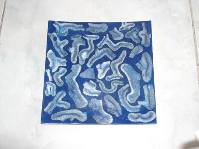 plate made from green coral shell