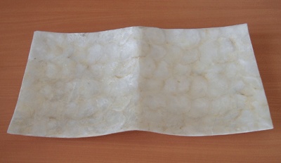 capis twin placemate