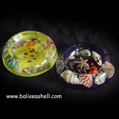 shell disc for astry smoke