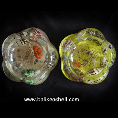 shell disc astry with receine