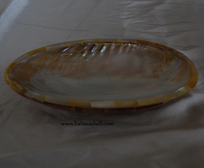 shel disc art river shell with wood