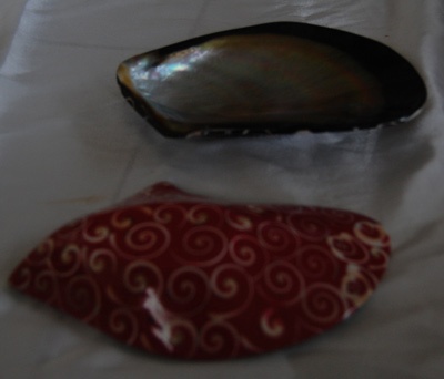 shell disc art crafts from pink shell