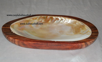 shell river soap dish indonesia