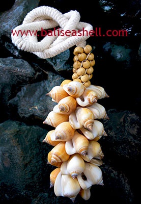tessel made from shell Combination