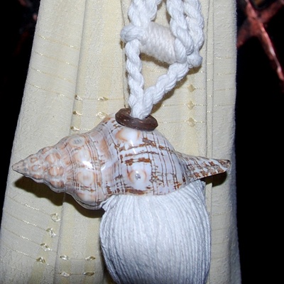 teseel conch shell art decorative