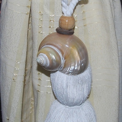 tessel made from turbo petholatus