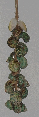 tessel shell small