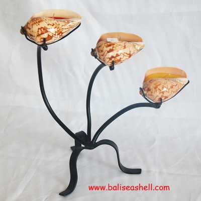 seashell handicrafst indonesia