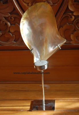 brown lip shell candle light art