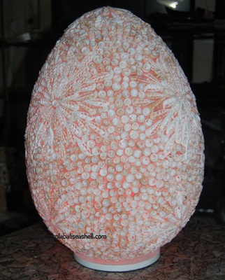 lamp shell art natural light