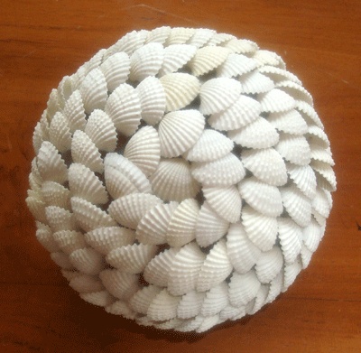 seashell ball