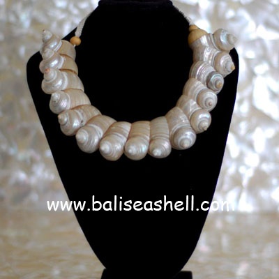necklace shell indonesia from turbo