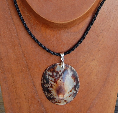 colection shell necklace