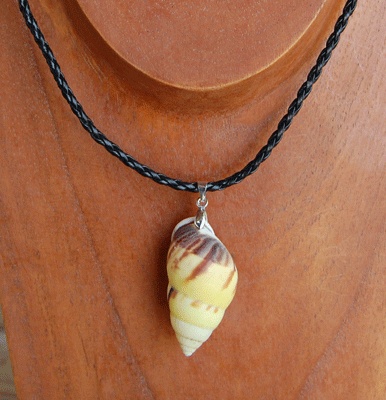 Natural land shell necklace