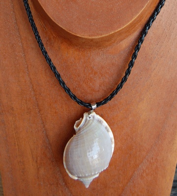Natural shell necklace