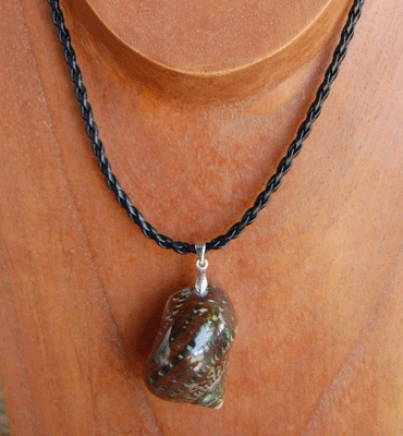 colection shell necklace