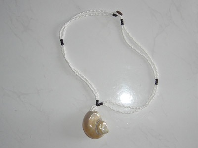 shell necklace small