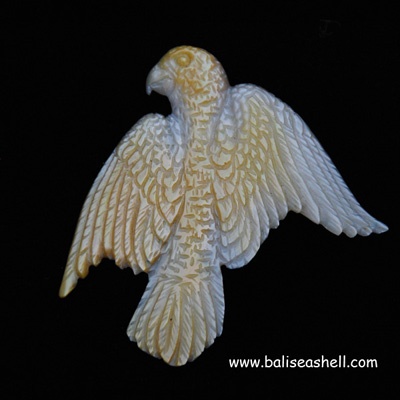 SHELL Bross
