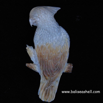 SHELL Bross