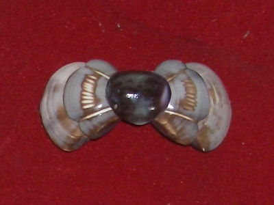 hairclip made from shell cut around