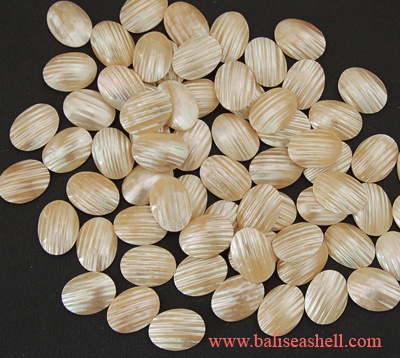 seashell cutting turbo shell