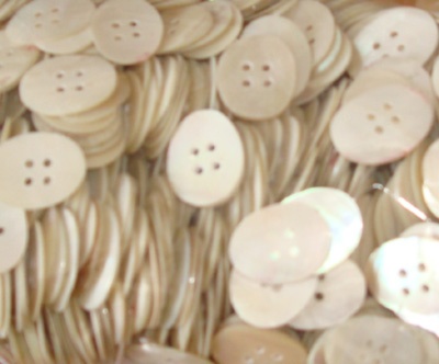 nautilus shell button