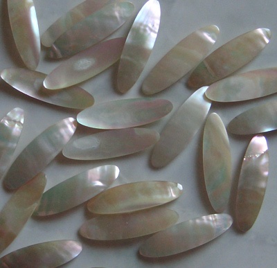 turbo shell cut for jewelry
