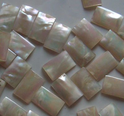 turbo shell cut for jewelry