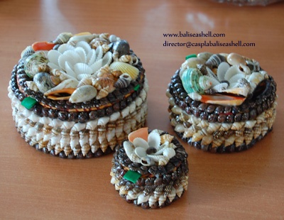 shell box set from all small shell