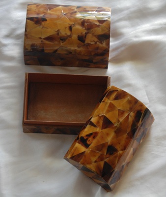 brown pen lip yellow shell box